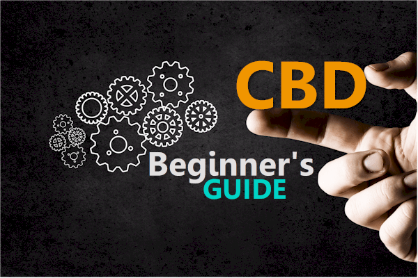 Online Beginners Guide to CBD oil