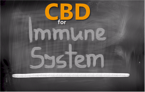 CBD for immune system and autoimmune disease