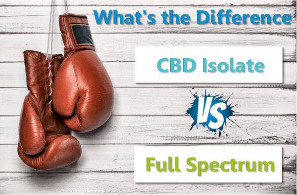 Full spectrum versus CBD isolate