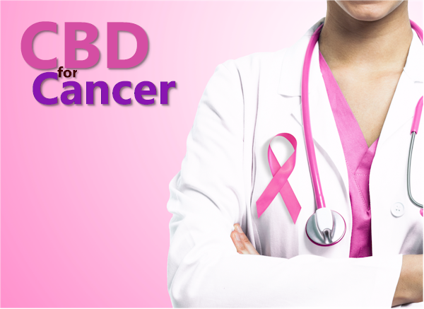 How does CBD work with Cancer