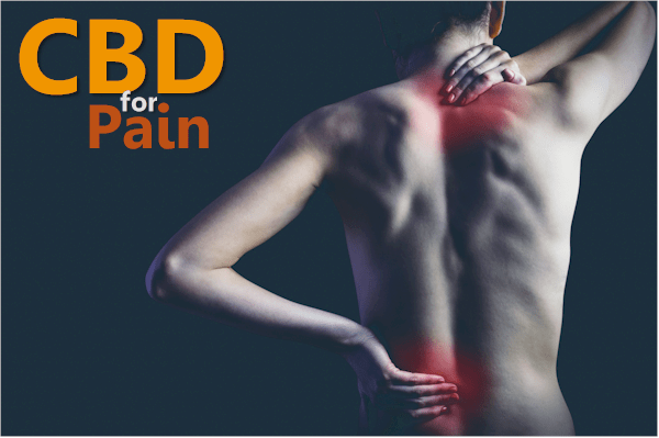 How does CBD work for pain