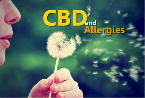 How does CBD work for allergies and histamines