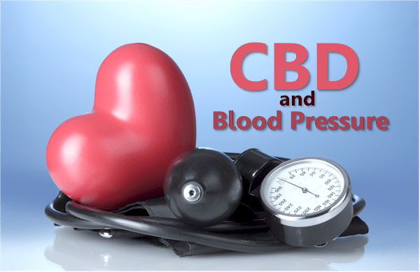 How does CBD work for blood pressure