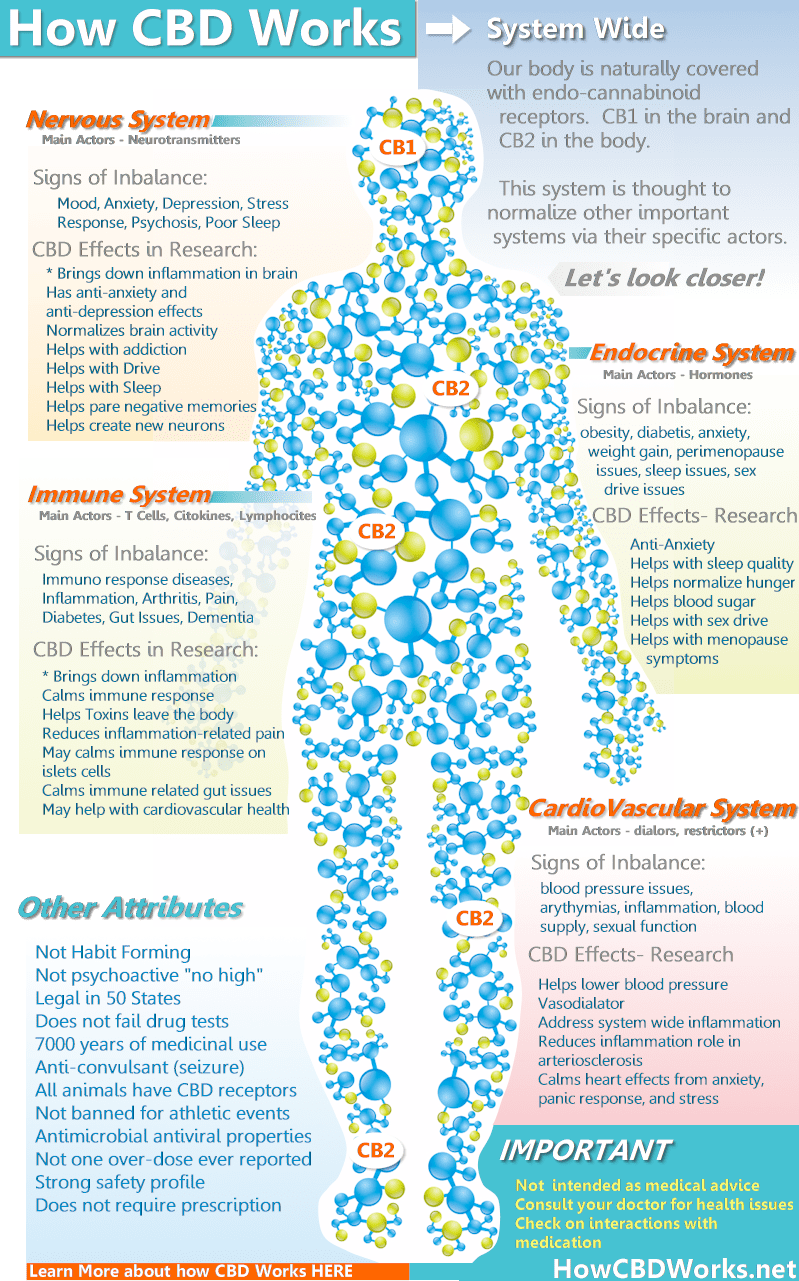 how does CBD work for a women's body