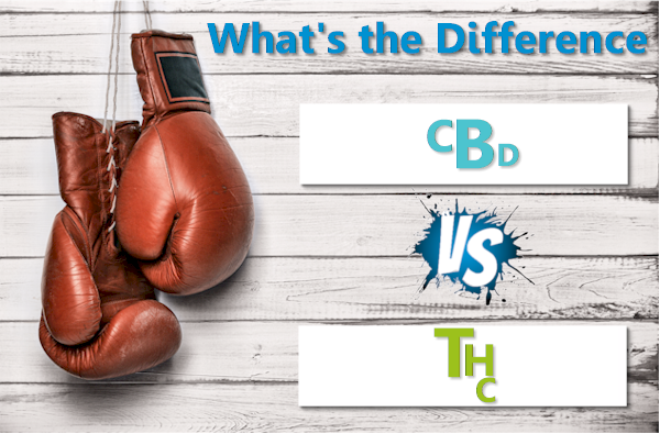 Difference between THC and CBD